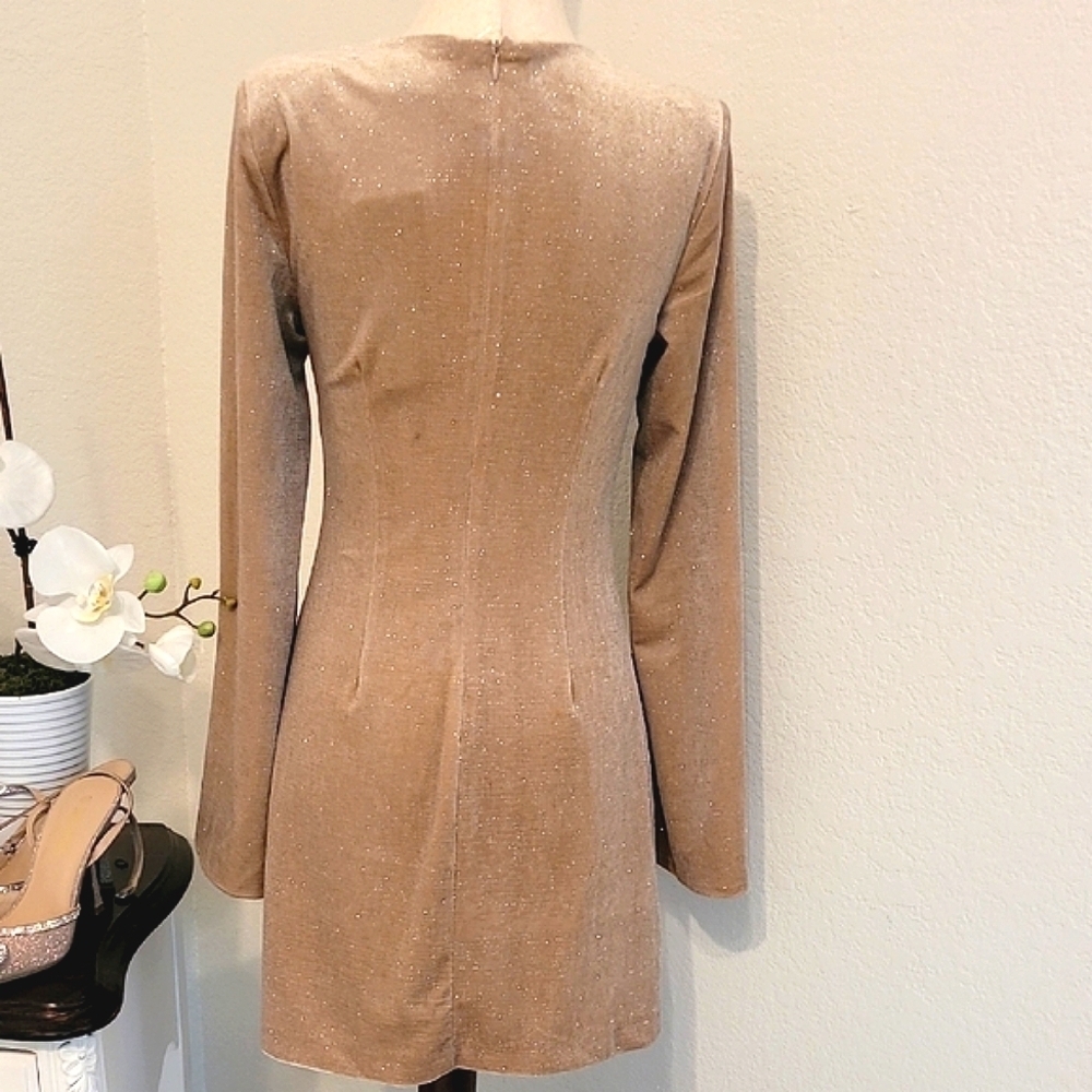 DO+BE Champagne and Silver Sheath Dress - Picture 3 of 5